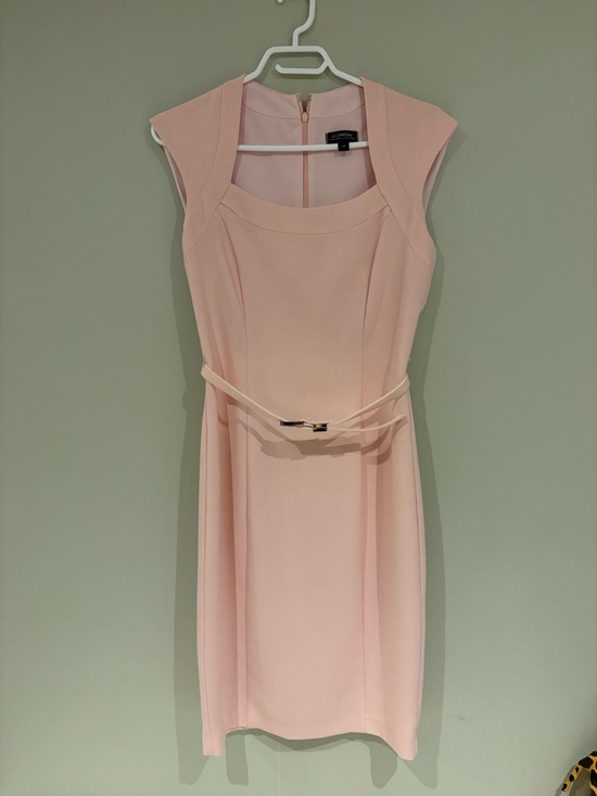 le chateau Dresses & Skirts - le chateau Blush Cap-Sleeve Sheath Dress with Slim Belt